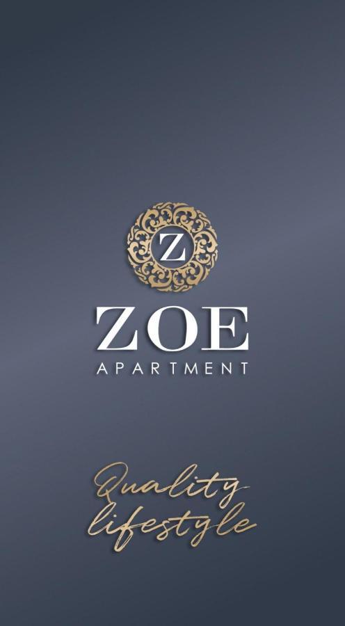 Zoe Apartment Vrsac Exterior foto